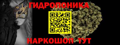 гашик Берёзовский