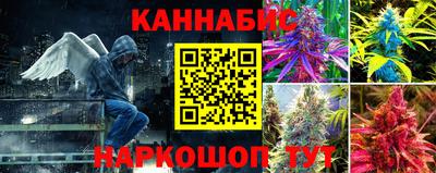 jwh Бийск