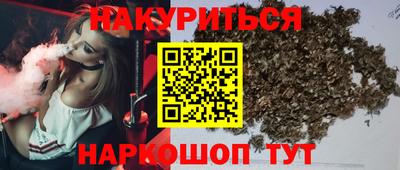 jwh Бийск
