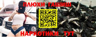 jwh Бийск
